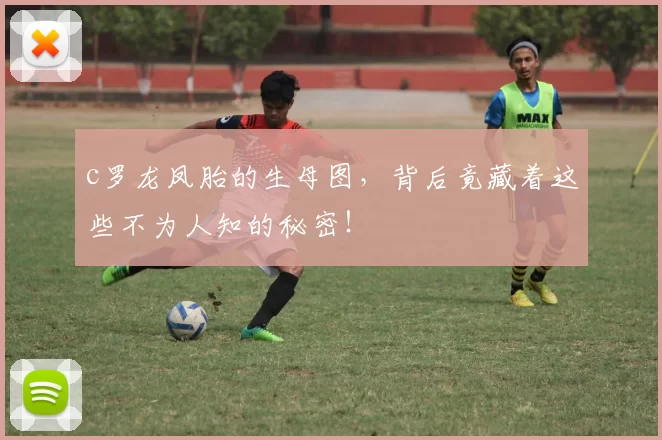 c罗龙凤胎的生母图,背后竟藏着这些不为人知的秘密!