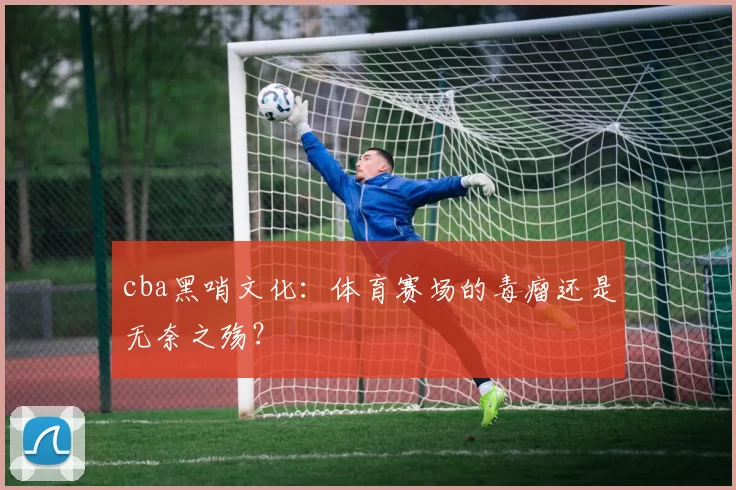 cba黑哨文化：体育赛场的毒瘤还是无奈之殇？