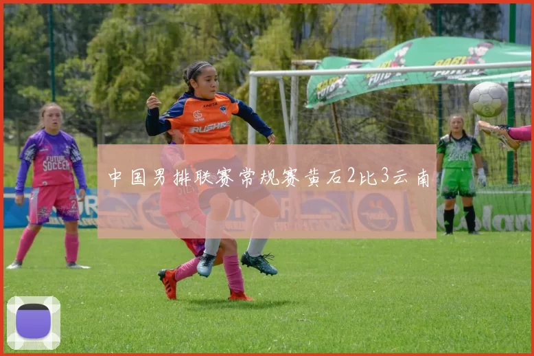 中国男排联赛常规赛黄石2比3云南