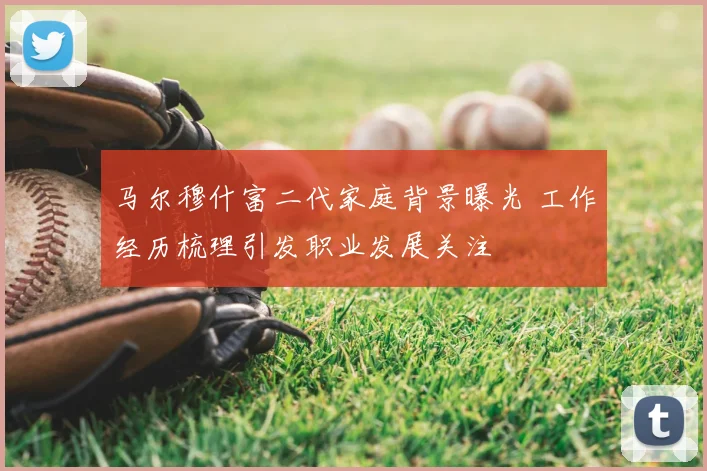 马尔穆什富二代家庭背景曝光 工作经历梳理引发职业发展关注