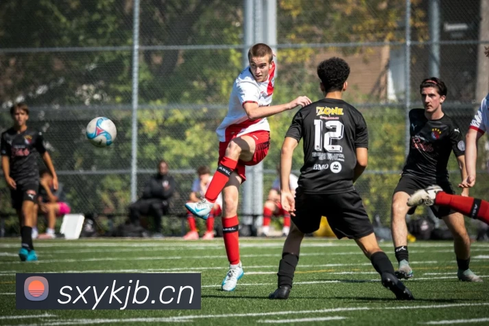 开云网页版登录入口 - 开云中国平台生态图